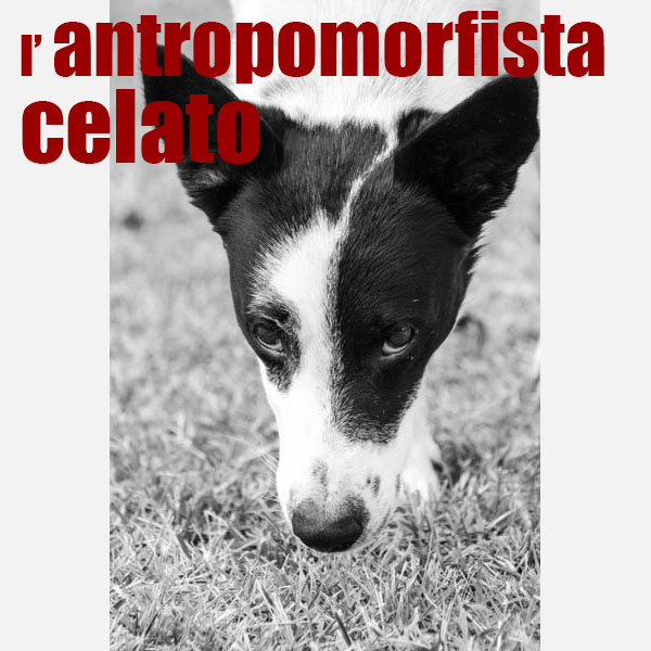 il cane umano