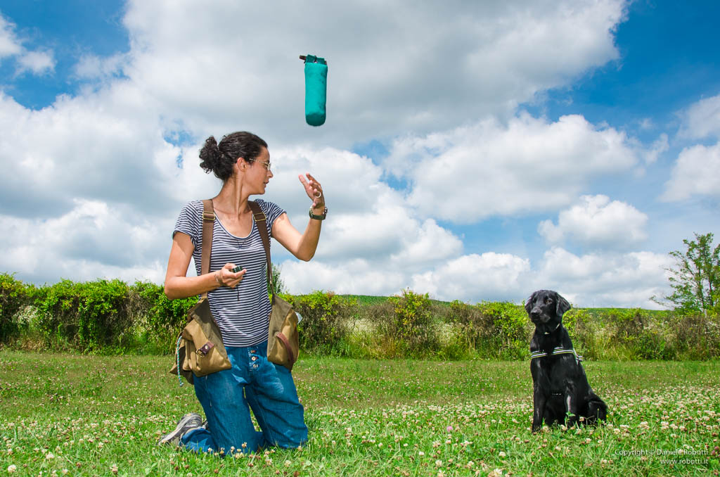 autocontrolli lavoro labrador retriever