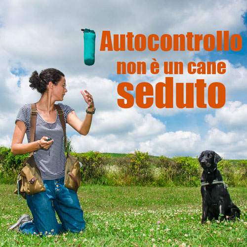 autocontrolli addestramento del cane