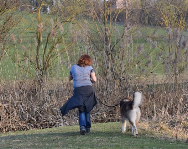 educazione del cane al guinzaglio