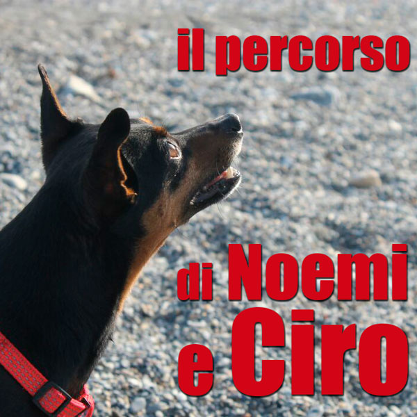 il cane libero