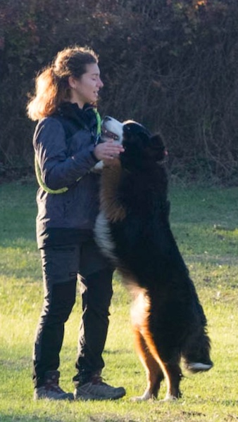 contatto sociale cane proprietario