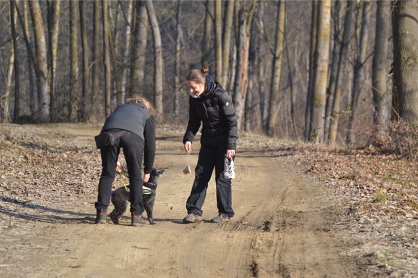 cane sordo cieco addestramento