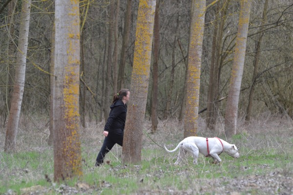 ricerca olfattiva nel bosco