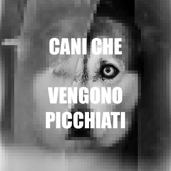 usare violenza sul cane