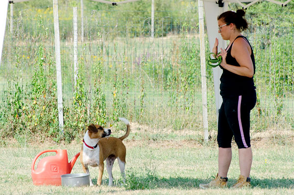 comunicazione uomo cane