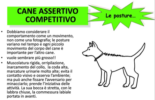 disegno della postura eretta del cane