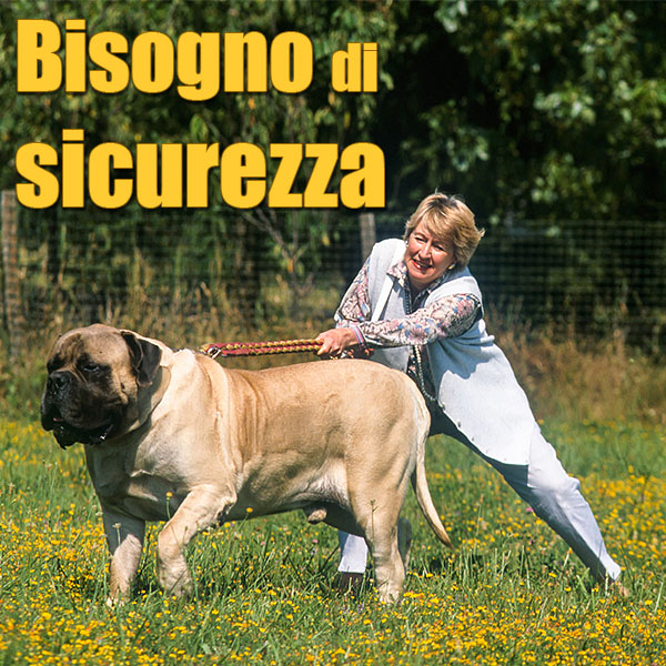 sicurezza del cane