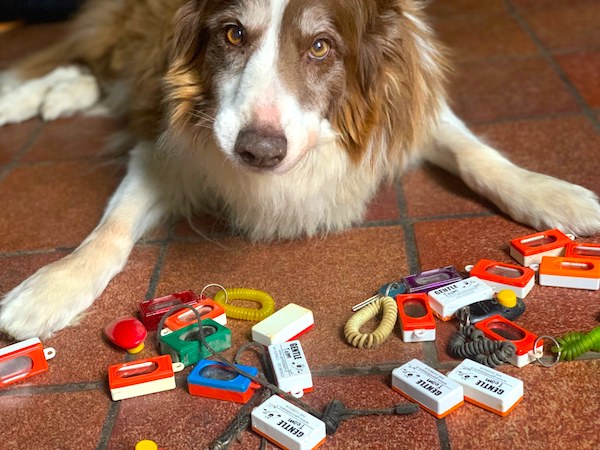 come usare il clicker