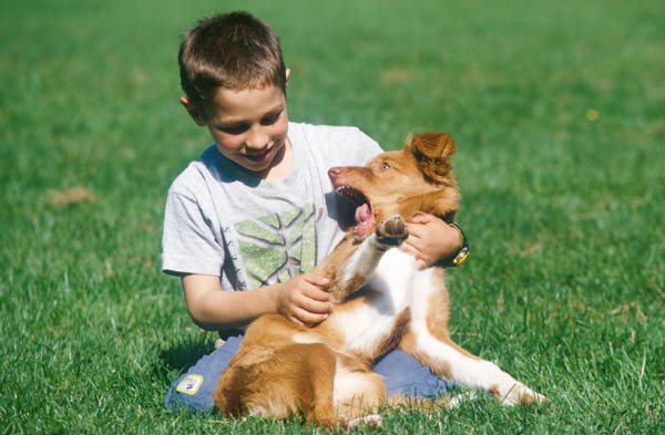 stress comportamento del cucciolo