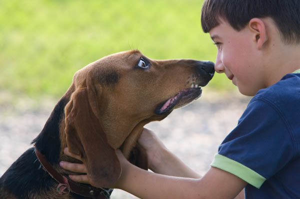 stress comportamento del cucciolo