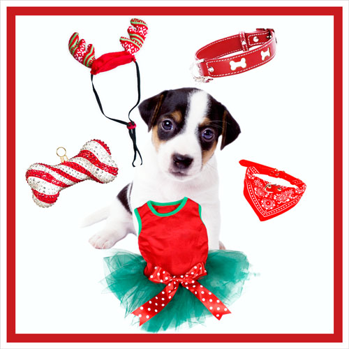 cucciolo regalo per bambini