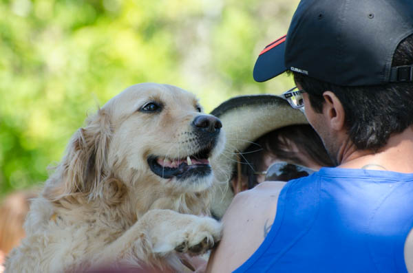 metodo gentile comunicazione cane uomo