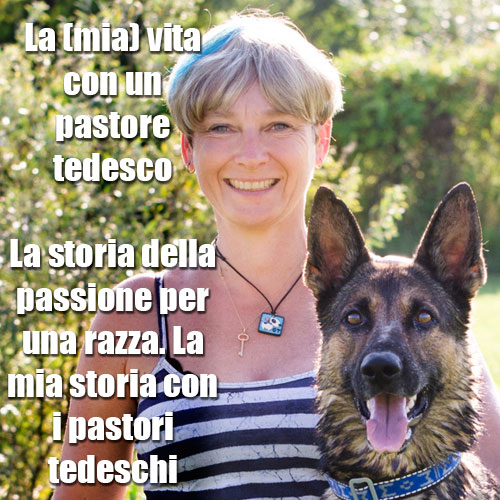 pastore tedesco razza