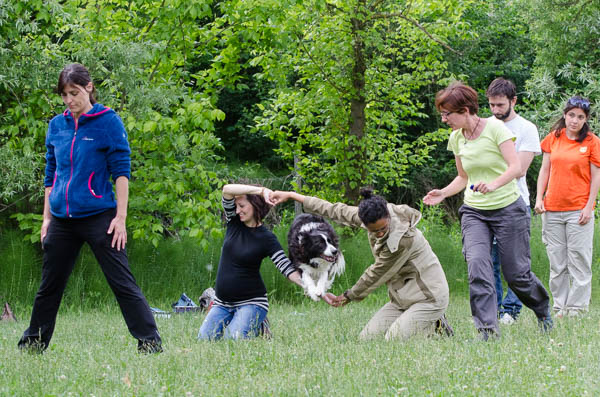 clicker training in apprendimento