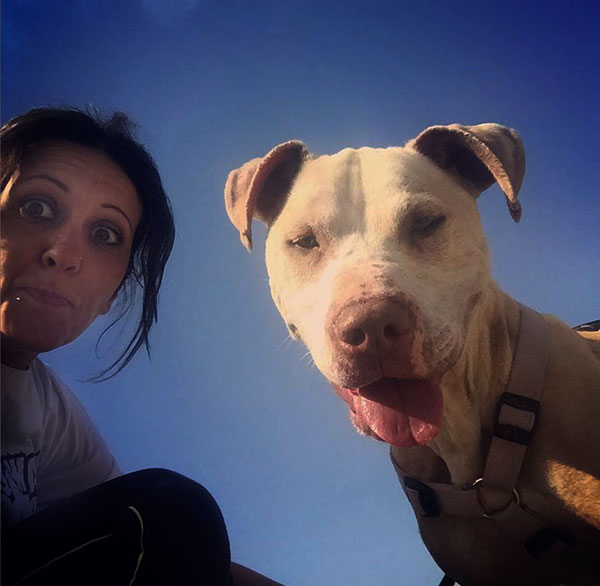 vivere con un pitbull