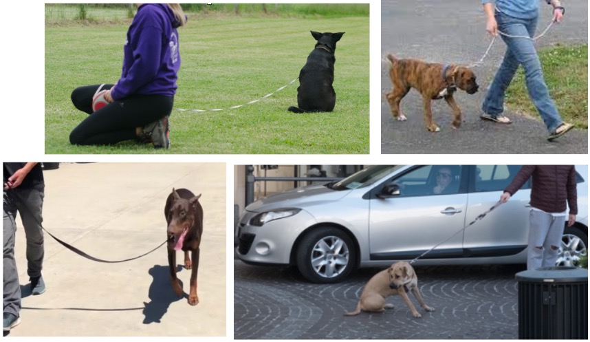 tenere il guinzaglio lungo