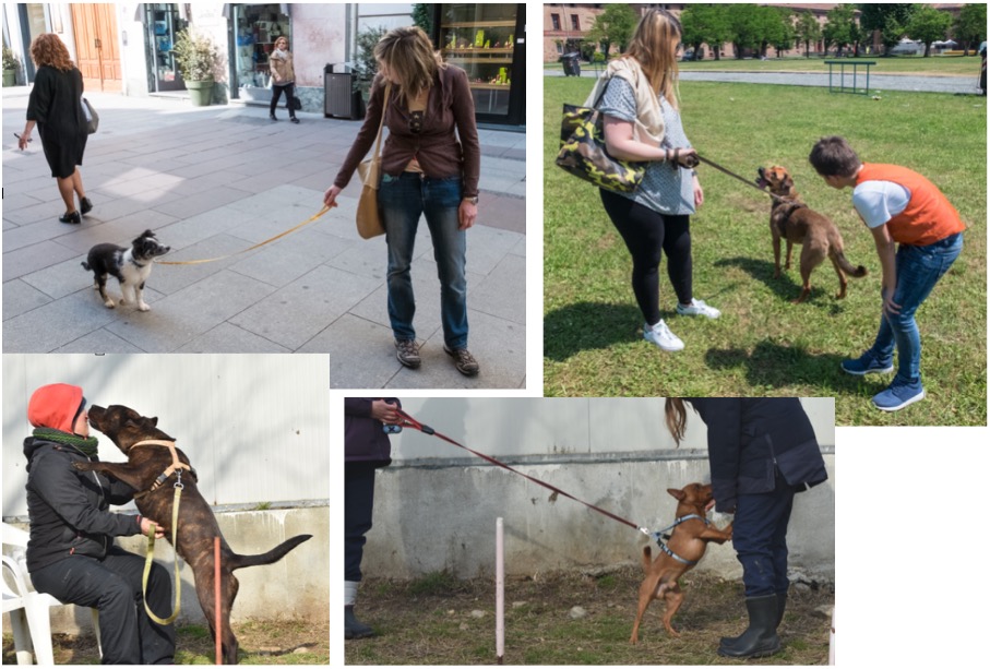 il mio cane salta addosso alle persone