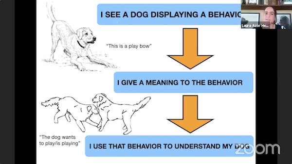etograma del comportamiento del perro