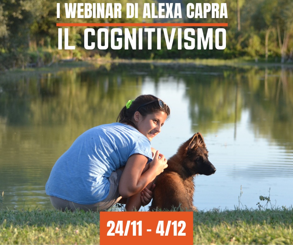 le capacità cognitive del cane