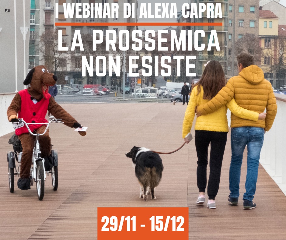 la prossemica nel cane